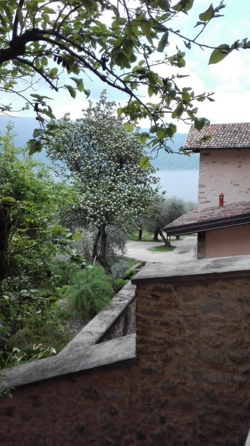 B&B Il Sogno Nel Borgo Gargnano Buitenkant foto
